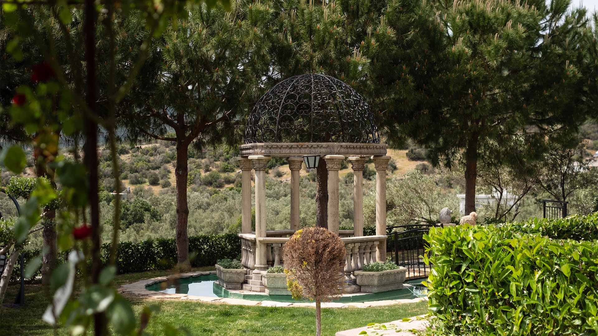 Hakkımızda